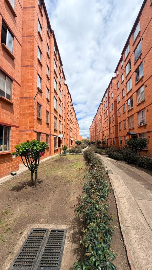 Senderos y zonas verdes del conjunto Bosa