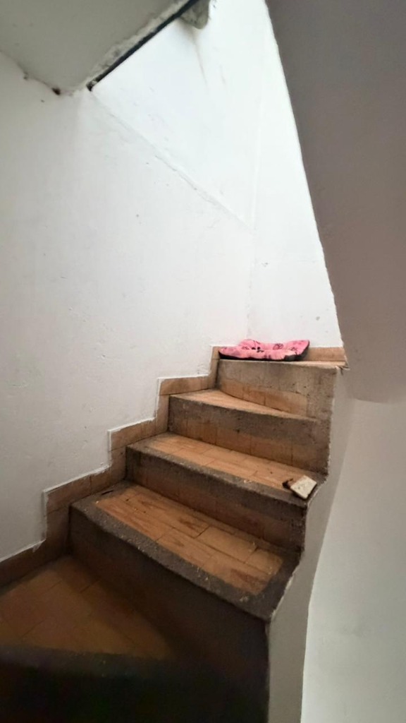 Escaleras internas en baldosa Guacamayas