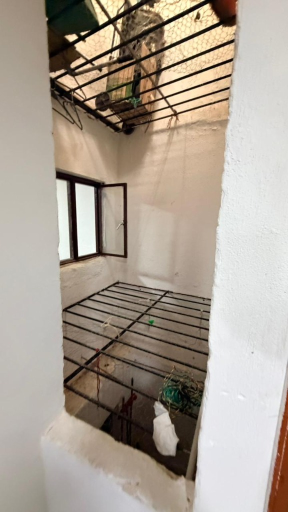 Patio interior con reja y ventilación Guacamayas